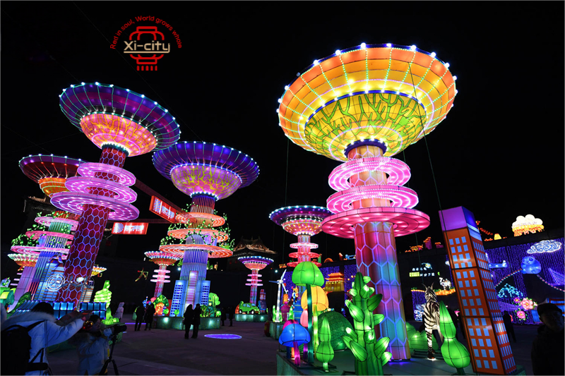 Kaifeng Colorful Lights